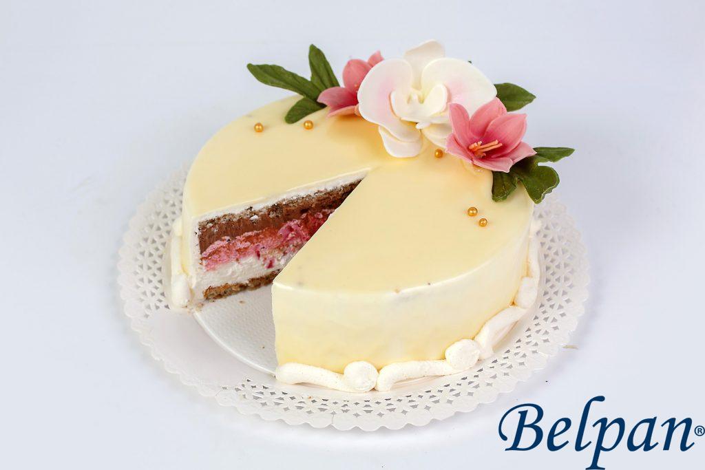 Tort Mousse ciocolată cu afine